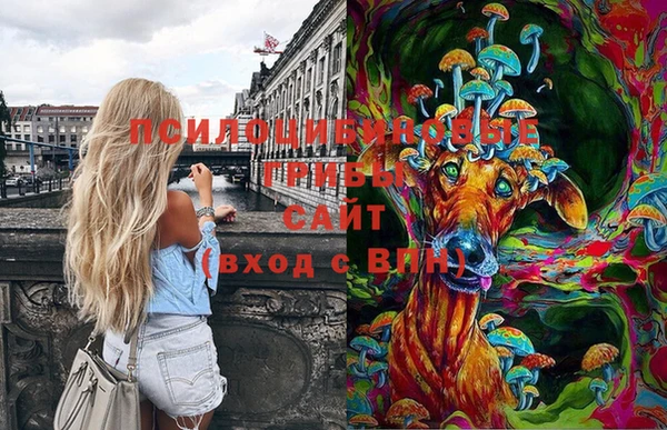мет Абаза